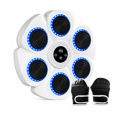 Smart Boxing Trainer