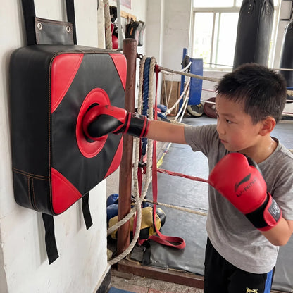 Wall Punch Target